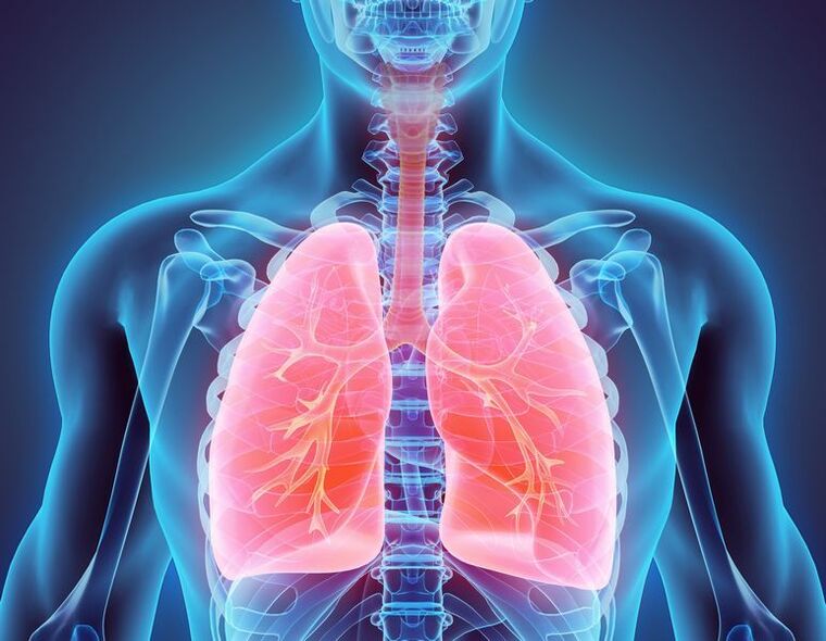 bronchi na ngụgụ dị ka isi iyi mgbu