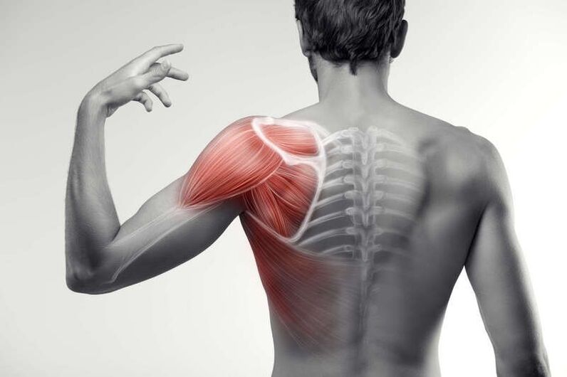 mpaghara mgbu anụ ahụ
